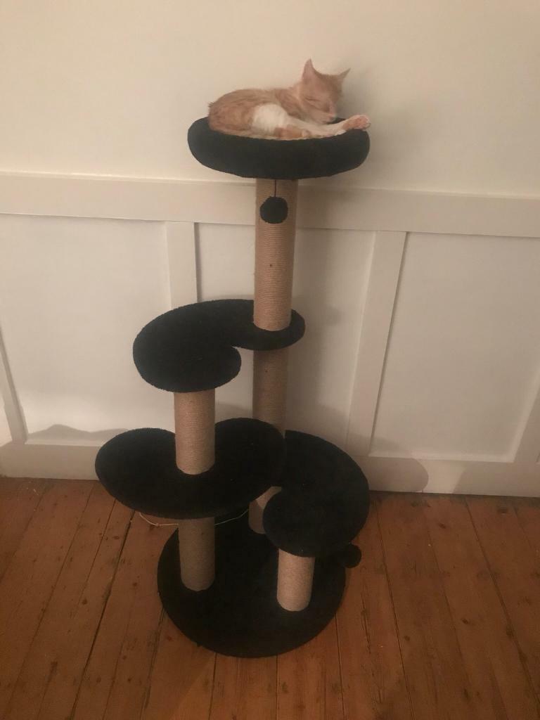 gumtree cat scratching post